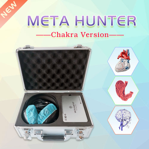 Meta Hunter's integrated treatment system
